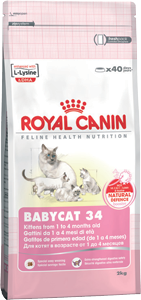   Royal Canin Babycat 34    1  4  (400 )