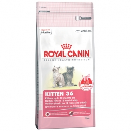   Royal Canin Kitten 36    4  (4 )
