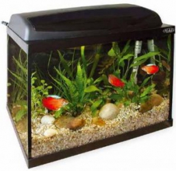 Аквариум Aquael Pearl 40 Прямоугольный (30 л)