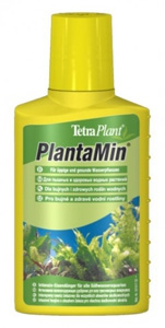  Tetra Planta Min   (250, 139299)
