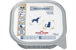   Royal Canin Veterinary Diet Recovery     ,  (100 )
