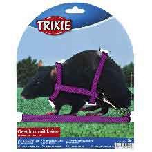  Trixie    (8*1,25, 6262)