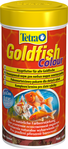   Tetra Goldfish Color      (, 100 )