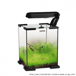 Аквариум Aquael Shrimp Set Набор для креветок (30 л)