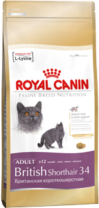   Royal Canin British Shorthair 34      (10 )