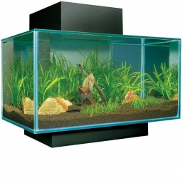 Аквариум Hagen Fluval Edge 15391 Черный (46 л)