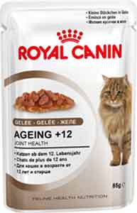   Royal Canin Feline Health Nutrition Ageing +12 Jelly    ( , 85)