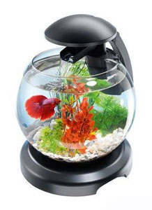 Аквариум Tetra Cascade Globe комплекс с фильтром и помпой (6,8л, шар, черный)