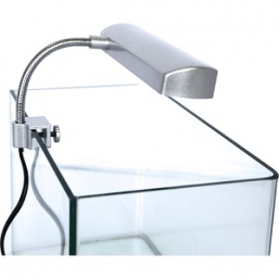 ����� (7w, �-808 ����00048)