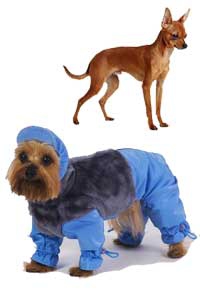 ���������� ����� ��� ����� ������ ���-������ ����-1 (������)