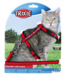  Trixie      (4191)