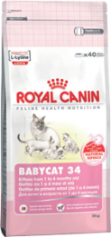   Royal Canin Babycat 34    1  4  (2 )