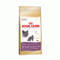   Royal Canin British Shorthair 34     (2 )
