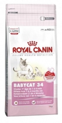   Royal Canin Babycat 34    1  4  (4 )