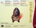Капли Стронгхолд Противопаразитарные для собак весом от 10 до 20 кг (120 мг)