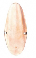 Панцирь Каракатицы Trixie для Декоративных Птиц С Держателем (12см, 5050)