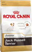 Сухой корм Royal Canin Breed Health Nutrition Jack Russell Terrier Junior для щенков породы джек расселл терьер (500г)