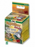  JBL Reptiday Halogen    (35, Jbl6184100)