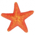 Грот Trixie Морская Звезда Пластик (9см, 8866)